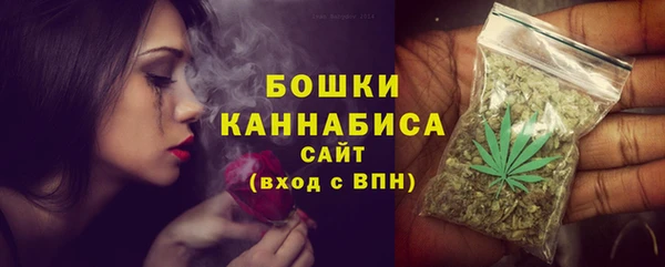 дмт Арсеньев