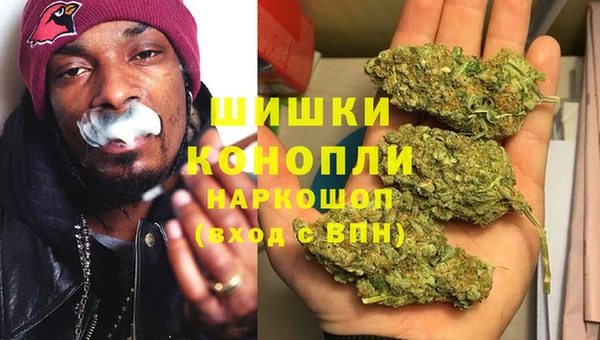 дмт Арсеньев
