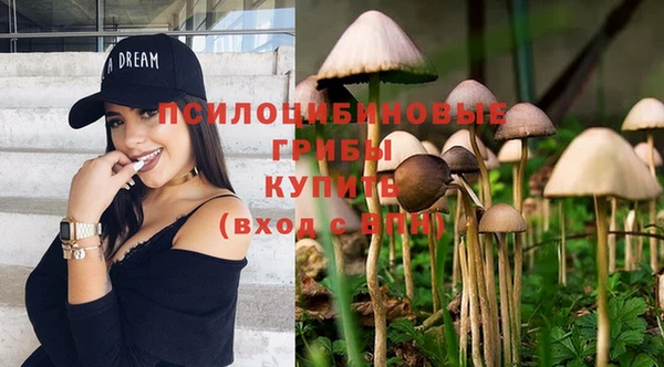 дмт Арсеньев