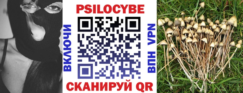 Купить где  Курильск  Псилоцибиновые грибы MAGIC MUSHROOMS 