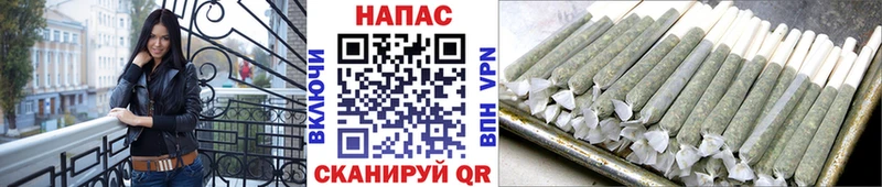 Купить закладки  Курильск  Бошки марихуана OG Kush 